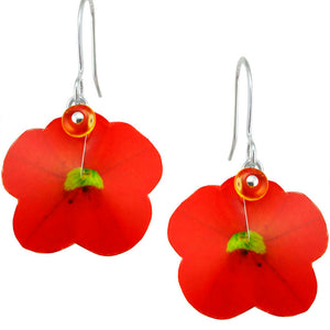Bright Red Pansy